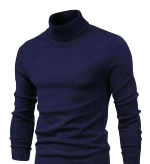 FV-Men Turtle Neck/High Neck Tshirt Sweatshirt - M