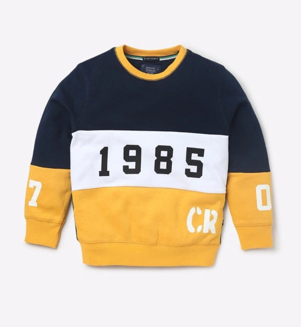 Indian Terrain Boys Colourblock Crew Neck Sweatshirt  - Gold, 12 To 13 Years