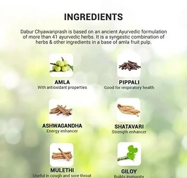 Dabur Chyawanprash 1Kg - 1 Kg