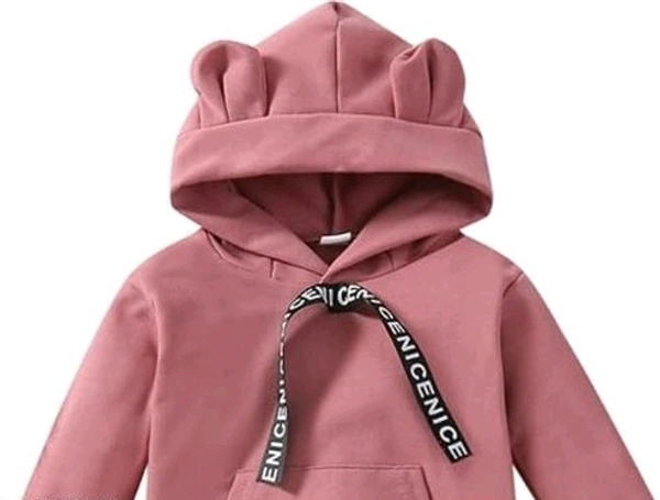 Wool Ary Kids Winter Wear Hoodie Sweatshirt with Trousers Pants Clothing Set for Boys Girls - 12-18 Months
