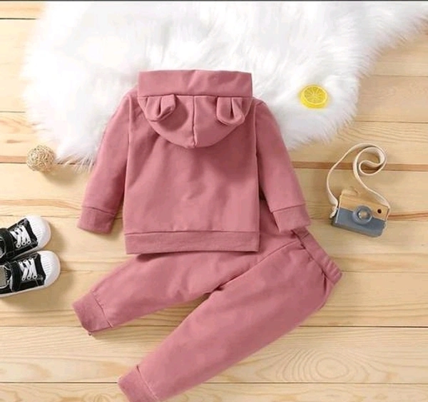 Wool Ary Kids Winter Wear Hoodie Sweatshirt with Trousers Pants Clothing Set for Boys Girls - 2-3 Years