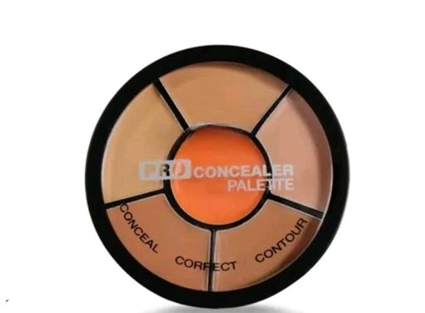 Concealer - Free Size