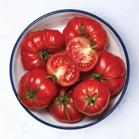 Tomato - 500 Gm