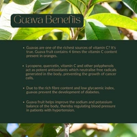 Guava - 1 Kg