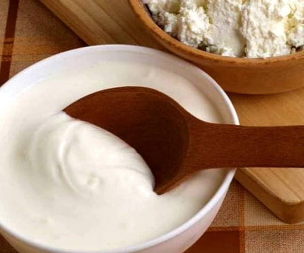 Plain Creamy Dahi