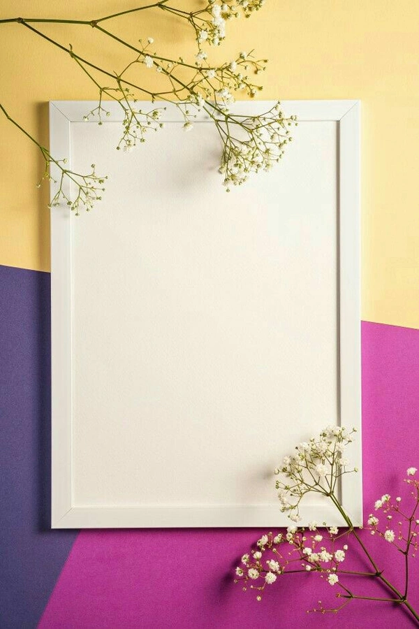 Frame (NOS-5) - 5×6