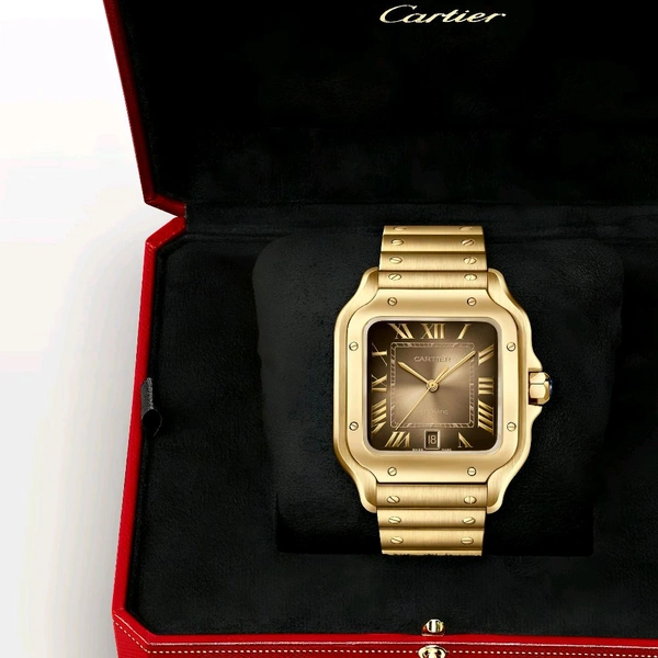 Cartier For Men  Watches Automatic 