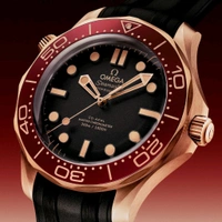 Omega Seamaster Diver 300M Mens Watch 