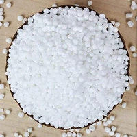 SABUNDANA साबुन दाना  LOOSE - 1Kg