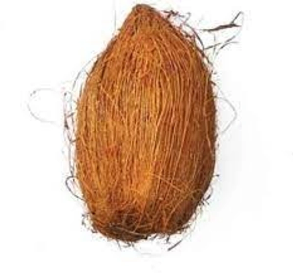 NARIYAL ( COCONUT )
