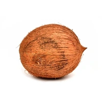 NARIYAL ( COCONUT )