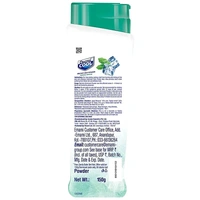 DERMI COOL PRICKLY HEAT POWDER MENTHOL REGULAR  150GM
