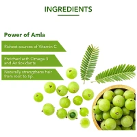 Dabur Amla Hair Oil 180ml