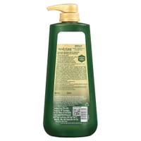 Kesh King Gold Anti Hairfall Shampoo 600ml