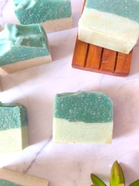 ALOEVERA JUICE & OLIVE OIL SOAP cold Process  - Aloe vera, 85g