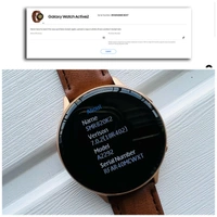 SAMSUNG ACTIVE 2 - Brown