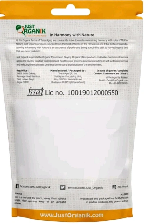 MUSTARD SEEDS (SARSON ) JUST ORGANIC - 100G