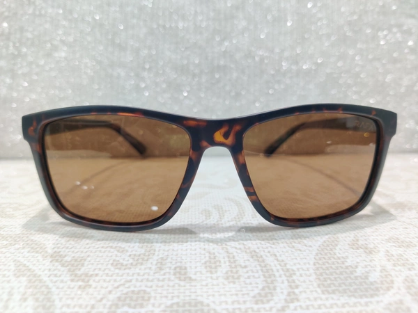 Rafa Polarized 798 - Brown