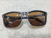 Rafa Polarized 798 - Brown