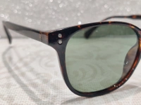 Rafa Polarized 797 - Brown