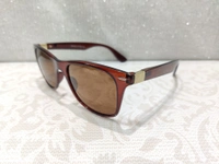 Polarized 91511 - Brown