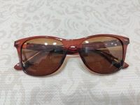 Polarized 91511 - Brown