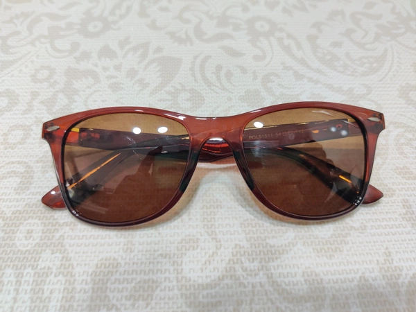 Polarized 91511 - Brown