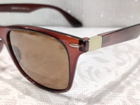 Polarized 91511 - Brown