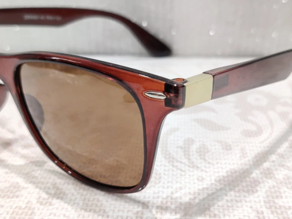 Polarized 91511 - Brown