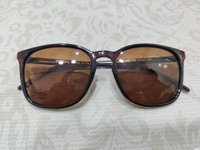 Escape Polarized 1320 - Brown