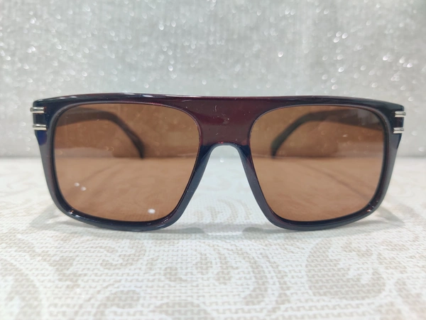 Polarized 1396 - Brown