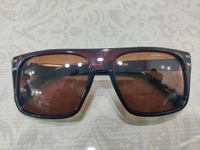 Polarized 1396 - Brown