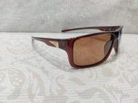 Rafa Polarized 666 - Brown