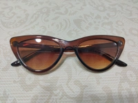 C 005 - Brown