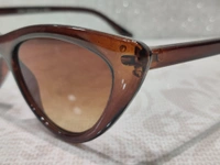 C 005 - Brown