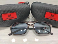Velocity Polarized 2321 - Martini