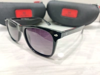 Velocity Polarized 2304 - Black