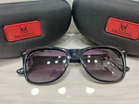 Velocity Polarized 2304 - Black