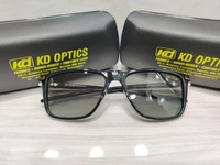 Fiction Polarized 5002 - Black
