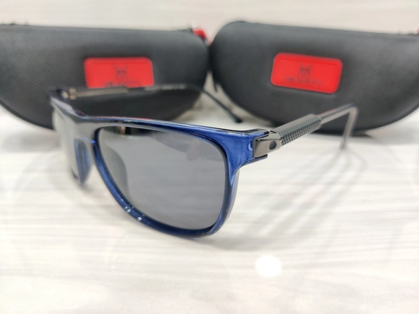 Velocity Polarized 2211 - Melrose