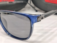 Velocity Polarized 2211 - Melrose