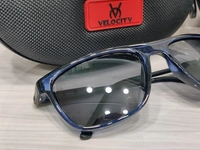 Velocity Polarized 2211 - Melrose