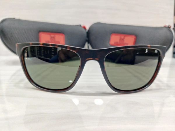 Velocity Polarized 2211 - Morocco Brown