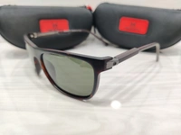 Velocity Polarized 2211 - Morocco Brown