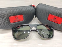 Velocity Polarized 2211 - Morocco Brown