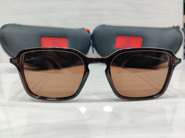 Velocity Polarized 2216 - Brown