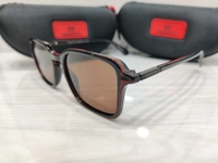 Velocity Polarized 2216 - Brown