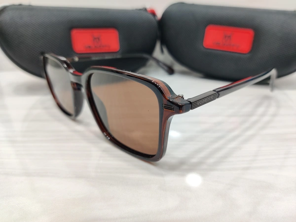 Velocity Polarized 2216 - Brown