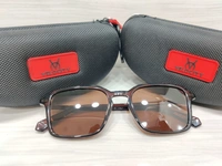Velocity Polarized 2216 - Brown