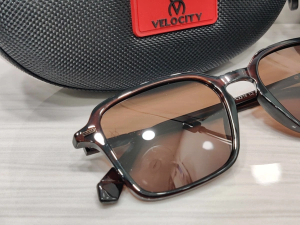 Velocity Polarized 2216 - Brown